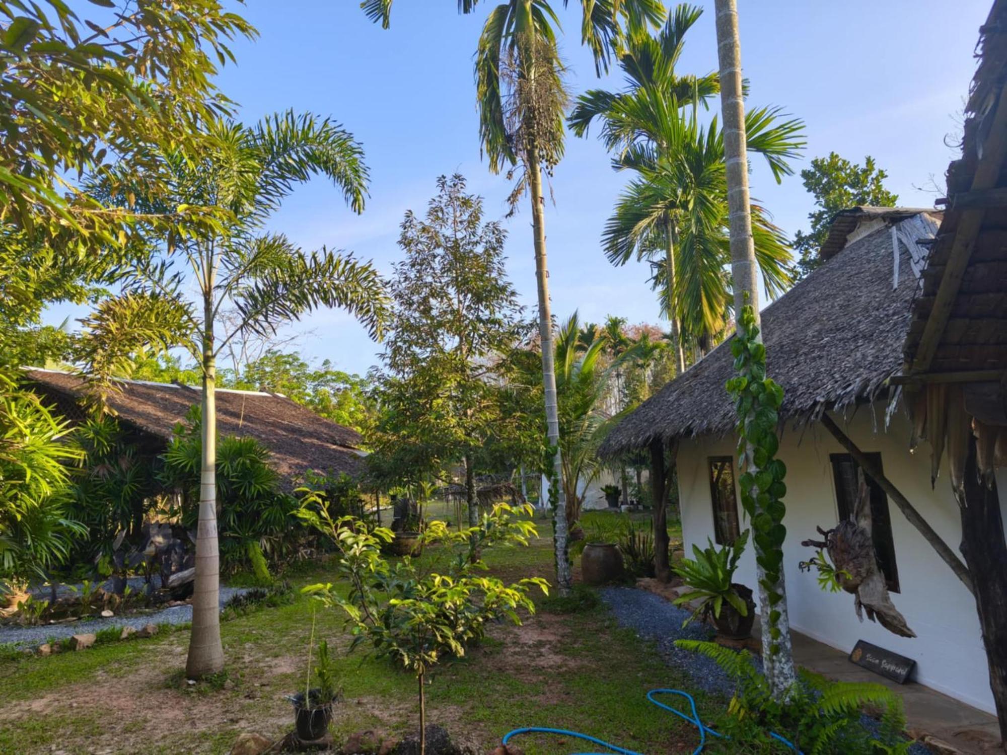 Baan Farang Homestay Phra Saeng Ban Nam Dam Buitenkant foto